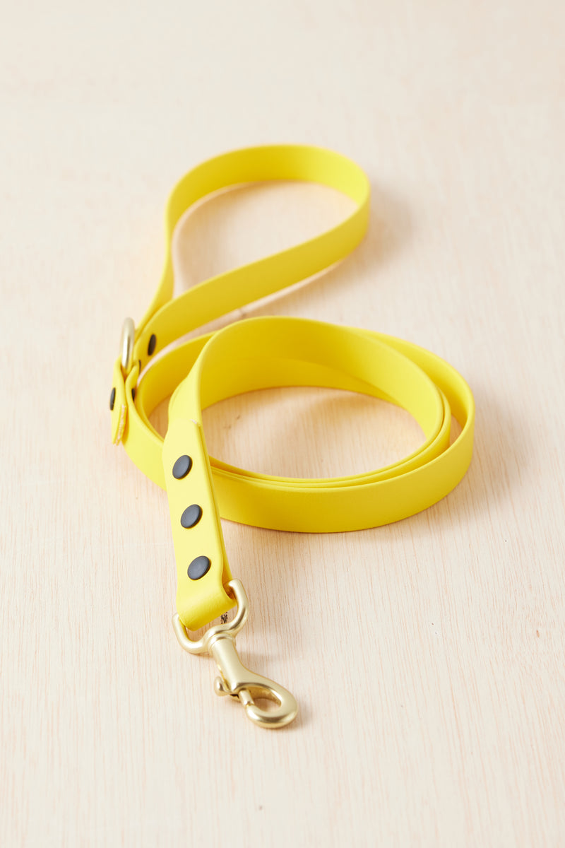 Made for Play Leash | Yellow